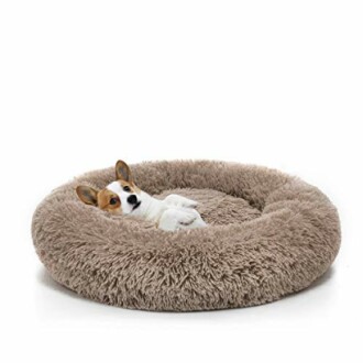 Corgi lying in a fluffy round dog bed.