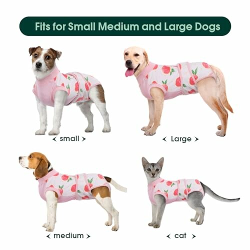 Dogs and a cat wearing pink fruit-patterned pajamas with size labels: small, medium, large, cat.