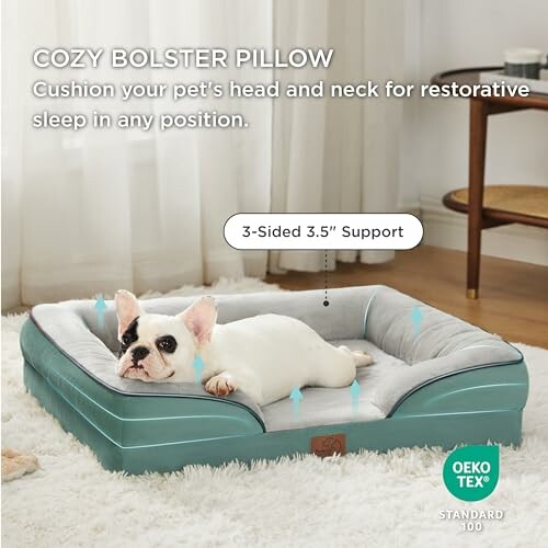 Dog lying on a cozy bolster pillow with 3-sided support.