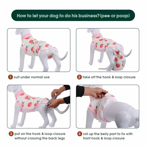 Instructions on how to adjust a dog diaper with four steps.