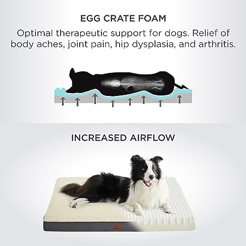 Dog lying on an egg crate foam bed for joint support and increased airflow.