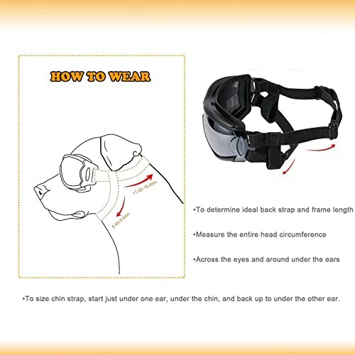 Illustration showing how to measure and fit goggles on a dog.