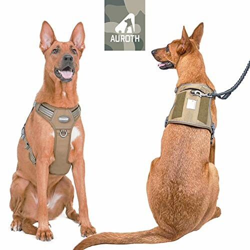 Two dogs wearing Auroth tactical dog harnesses.