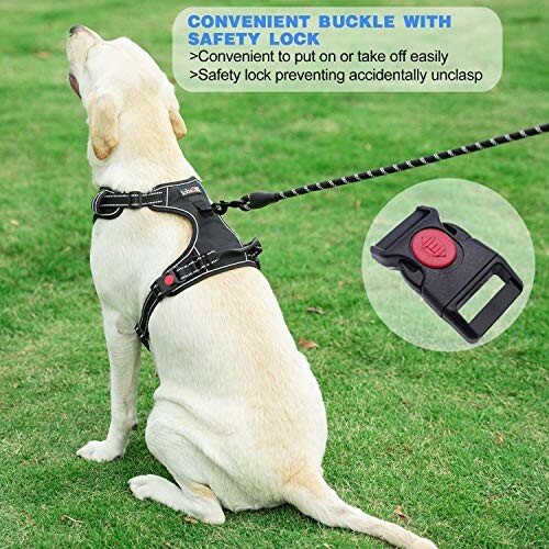 Dog wearing a harness with safety lock feature, sitting on grass.