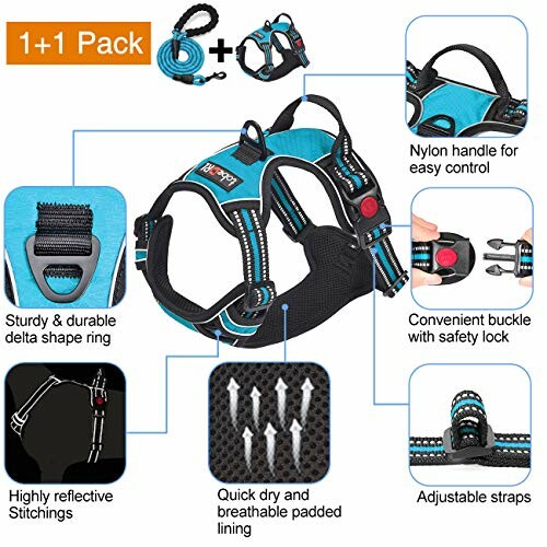 Dog harness set with features like reflective stitching, easy control handle, quick dry lining, and safety buckle.