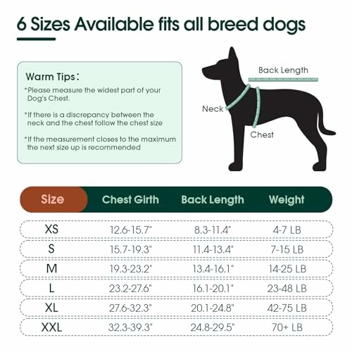 Dog harness size chart for different breeds.