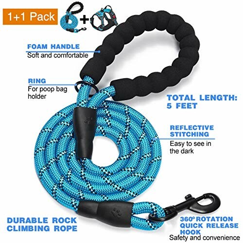 Blue dog leash with foam handle, 5 feet length, reflective stitching, and quick release hook.