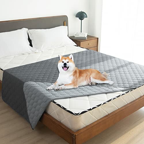 Dog lying on a bed with a grey quilted blanket.