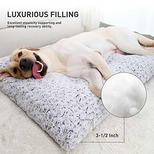 A dog lying on a luxurious filling pillow with elasticity and recovery ability.