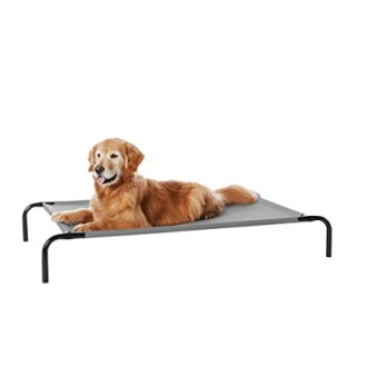 Amazon Basics Cooling Elevated Dog Bed