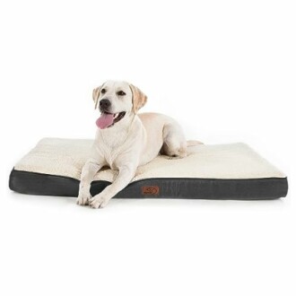 Labrador retriever lying on a dog bed