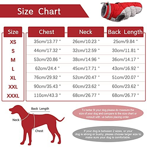 Dog size chart with measurements for chest, neck, and back length.