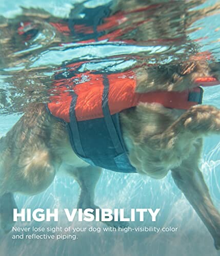 Dog swimming underwater wearing a high-visibility life jacket.