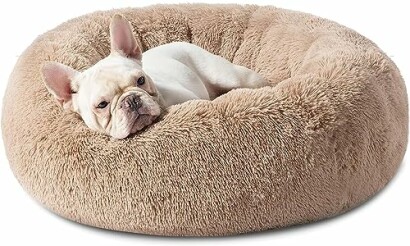 French bulldog resting in a fluffy round bed.