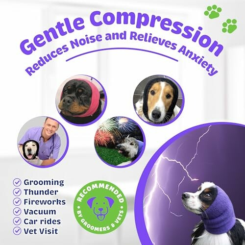 Dogs wearing gentle compression gear for anxiety relief.