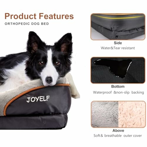 Orthopedic dog bed features with waterproof and non-slip backing.