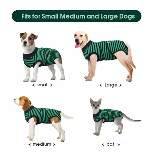 Four pets in striped clothing labeled small, medium, large, and cat, showcasing the versatility of the product.