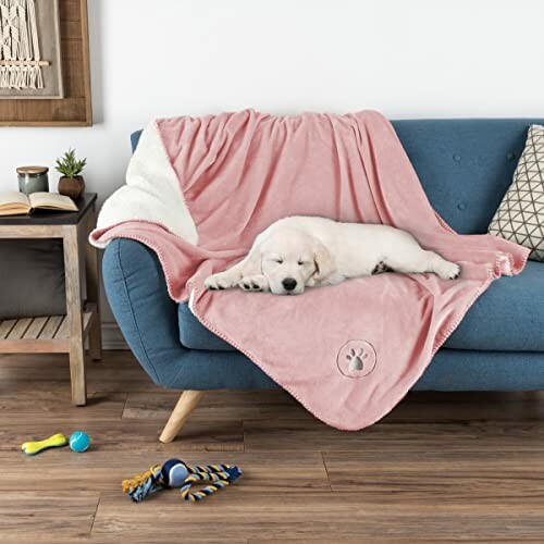 Puppy sleeping on a pink blanket on a blue sofa with toys nearby.