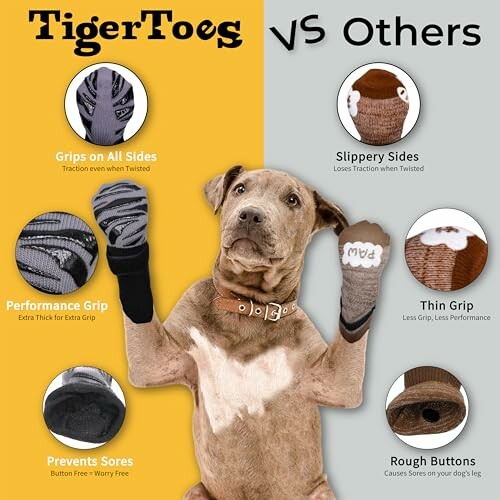 Dog wearing socks with comparison of TigerToes and other brands.